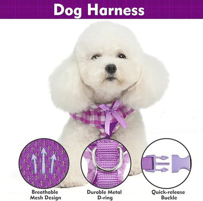 EXPAWLORER Cute Dog Harness and Leash Set - Purple Girl Dog Harness Checkered Step-in Design, Easy Adjustable No-Choke Lightweight Breathable Vest for Puppy Small Dogs Cats Outdoor Walking, Small