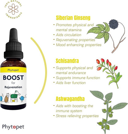Phytopet Boost | 30ml | 100% Natural Herbal Remedy | Promotes Stamina, Recovery, Wellbeing | For Dogs, Cats, Birds, Horses, Pets |