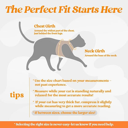 rabbitgoo Cat Harness and Leash Set for Walking Escape Proof, Adjustable Soft Kittens Vest with Reflective Strip for Cats, Comfortable Outdoor Vest,Light Orange,M