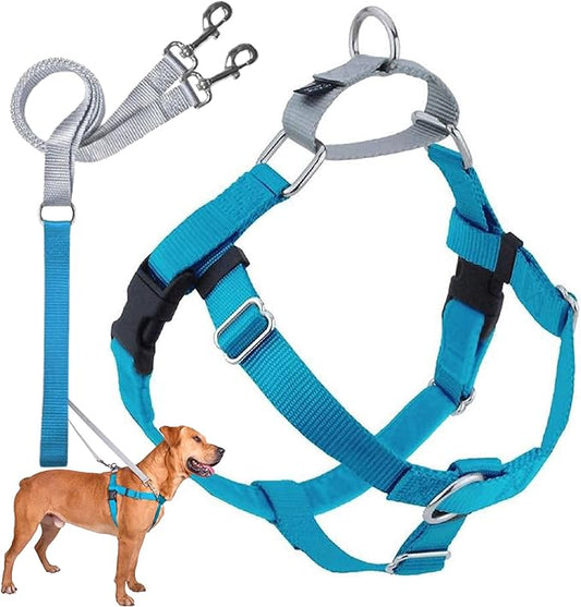 2 Hounds Design Freedom No Pull Dog Harness, Adjustable Harness and Leash Set, Easy Walking & Comfortable Control, Fits Small, Medium & Large Dogs, Solid Colors, Made in USA, 1" XXL, Turquoise