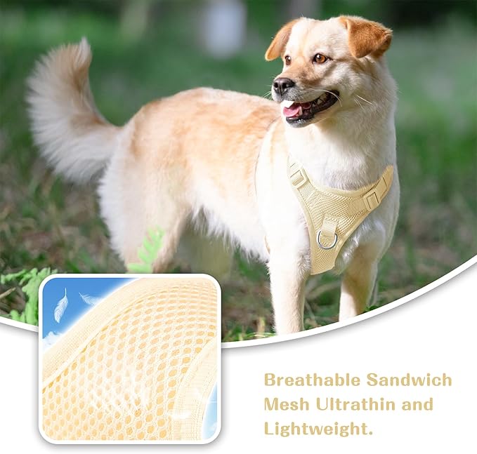 No Pull Dog Harness for Small Medium Large Dogs - Adjustable 2 Layer Mesh Dog Vest with Dual Clip, Escape Proof, Quick Release, Lightweight Breathable Mesh for Walking Hiking (Light Yellow,XS)