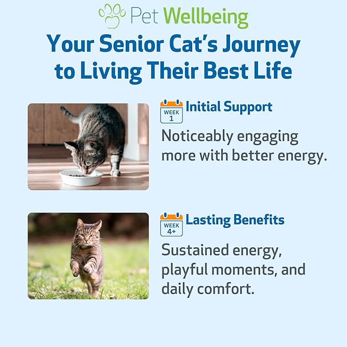 Pet Wellbeing Old Friend for Senior Cats - Supports Immune System Health, Joint Mobility, Healthy Energy Levels, Alfalfa, Reishi - Veterinarian-Formulated Herbal Supplement 2 oz (59 ml)