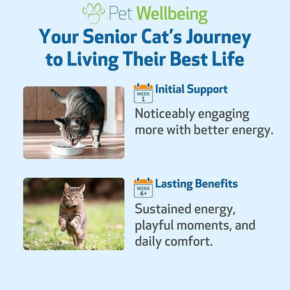 Pet Wellbeing Old Friend for Senior Cats - Supports Immune System Health, Joint Mobility, Healthy Energy Levels, Alfalfa, Reishi - Veterinarian-Formulated Herbal Supplement 2 oz (59 ml)