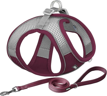 AIITLE Small Harness for Puppy with A Leash - Christmas Dog Vest Harness with Super Breathable Mesh, Reflective No-Pull Pet Harness for Outdoor Walking, Running for Small Dogs, Cats Burgundy XXS