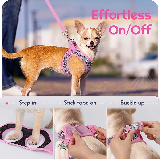 Eagloo Small Dog Harness and Leash Set, Step in Puppy Vest with Breathable Soft Mesh, Walking Reflective Pet Harness for Small Dogs, Pink, S