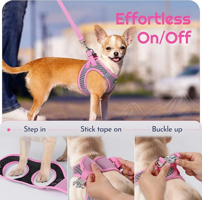 Eagloo Small Dog Harness and Leash Set, Step in Puppy Vest with Breathable Soft Mesh, Walking Reflective Pet Harness for Small Dogs, Pink, S