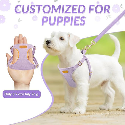 SlowTon Dog Harness Small Sized Dog - Soft XXS Dog Harness and Leash Set No Pull No Chock, Adjustable Lightweight Puppy Harness for XS Small Medium Dogs Cats (Solid Purple, M)