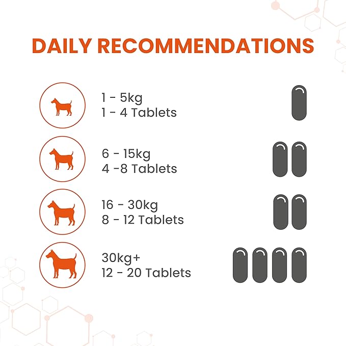 Vetzyme Conditioning Tablets For Dogs Pot Size: 100 Tablets