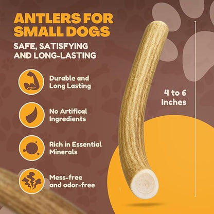 WhiteTail Naturals - Antlers for Small Dogs (3 Pack) Deer Antler Dog Chew Bones for Small Aggressive Chewers - Long Lasting Horn Chew Toys - Naturally Shed