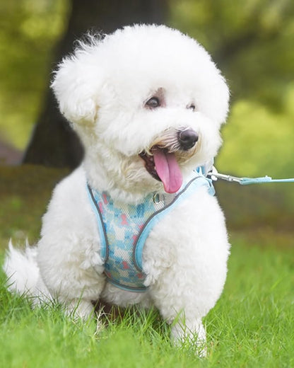 Dog Harness for Small Medium Dogs No Pull, Cat Harness and Leash Set, Step in Puppy Harness. (Bule, S)