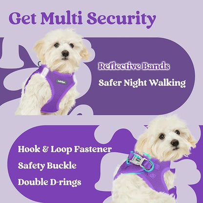 rabbitgoo Small Dog Harness, Step-in Soft Mesh Puppy Vest with Safety Buckle, Breathable Reflective Pet Harness for Small Medium Dogs, Purple L