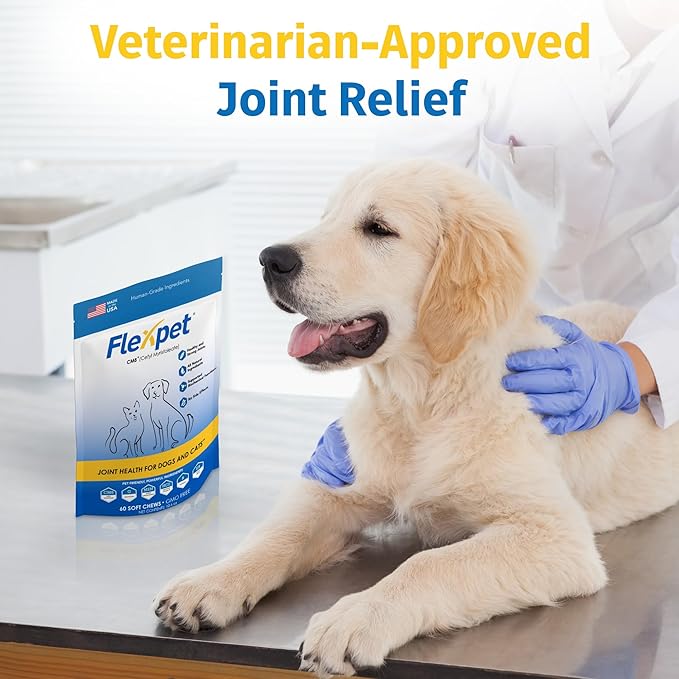 Hip & Joint Supplement for Dogs & Cats with Cetyl Myristoleate, Glucosamine, Collagen, MSM - Max Strength Joint Support for Mobility, Senior Pets, Large Breeds - 60 Soft Chews (Bacon/Cheese)