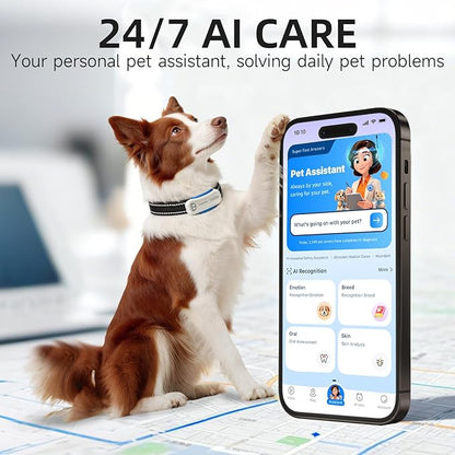 DBDD AI GPS Tracker for Dogs (30lbs+), Real Time Location and AI Health Assistant, Electronic Fence, Waterproof, iOS and Android Universal (D5-White)
