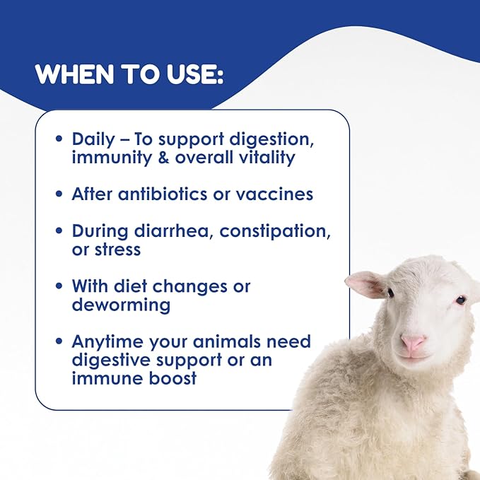 Ruminant Probiotic Paste 80CC for Cattle, Goats & Livestock – Prebiotic + Probiotic 6 Strains 8B CFU, Vitamin E & Minerals – Digestive, Rumen & Immune Support, Calving