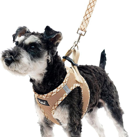 PUPTECK Dog Harness and Leash Set for Small Medium Dogs No Pull Step-in Soft Mesh Puppy Cat Vest Harnesses Reflective at Night, Beige L