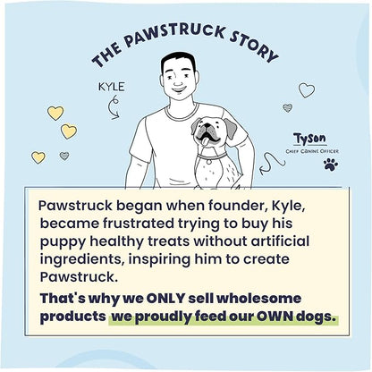 Pawstruck Small 3" Filled Dog Bones, Peanut Butter Flavor - Made in USA Long Lasting Stuffed Femur for Aggressive Chewers Dental Treat - Pack of 10 - Packaging May Vary