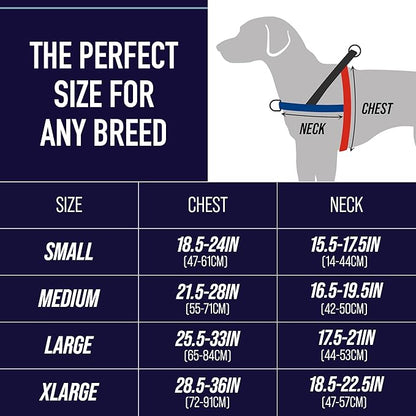 Leash Boss No Pull Dog Harness, Easy Walk for Small, Medium, and Large Pets, Reflective with Rear and Front Clip Attachment (Space Pattern, Medium)