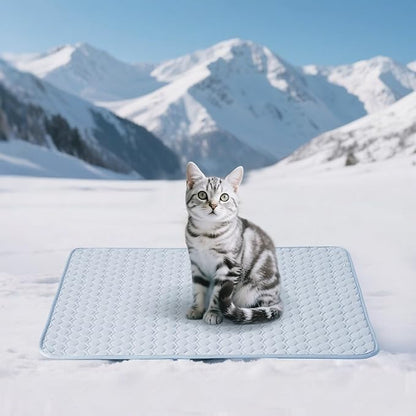Soulbond Cooling Mat for Small Dogs - 25"x35" Washable Cooling Pad for Dogs & Cats, QMAX>0.3, Anti-Slip Bottom, Portable Summer Cool Pet Bed Pad for Outdoor/Indoor/Cars/Travel Use, Light Blue