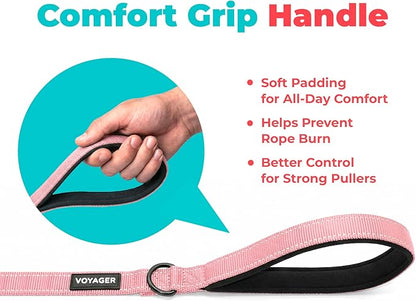 Best Pet Supplies Voyager Reflective Dog Leash or Collar with Neoprene Handle, for Small, Medium, and Large Breed Puppies, Cute and Heavy Duty for Walking, Running and Training - Pink (Leash), S