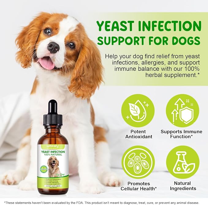 Yeast Infection Treatment for Dogs, Natural Yeast Treatment for Dog Ear Infection & Allergy Relief, Itchy Skin Relief, Skin & Coat Support, Dog Herbal Supplement - Dogs Ear Care & Immune Support, 60ml