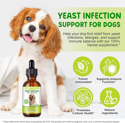 Yeast Infection Treatment for Dogs, Natural Yeast Treatment for Dog Ear Infection & Allergy Relief, Itchy Skin Relief, Skin & Coat Support, Dog Herbal Supplement - Dogs Ear Care & Immune Support, 60ml