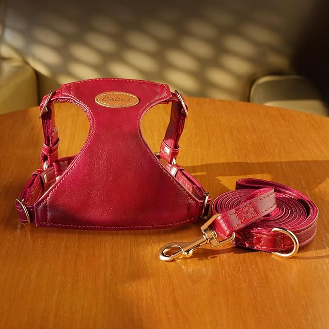 Beirui ‌Stylish PU Leather Dog Harness‌ and Leash Set for Small Dogs, ‌Adjustable Step in Dog Vest Harness with Breathable Mesh Lining and Durable Metal Buckle for Walking Traveling(Red,S)