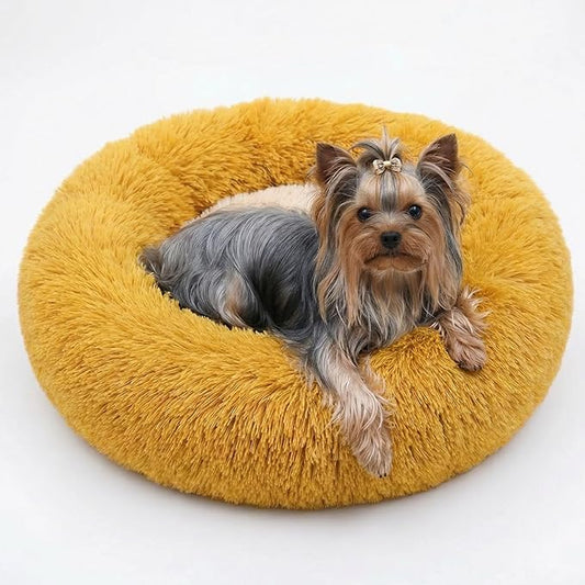 Calming Donut Dogs Beds for Small Dogs Washable,19inch Fluffy Round Puppy Bed for Puppies,Cats & Toy Breeds with Raised Rim,Fits up to 15 lbs Pets,Orange