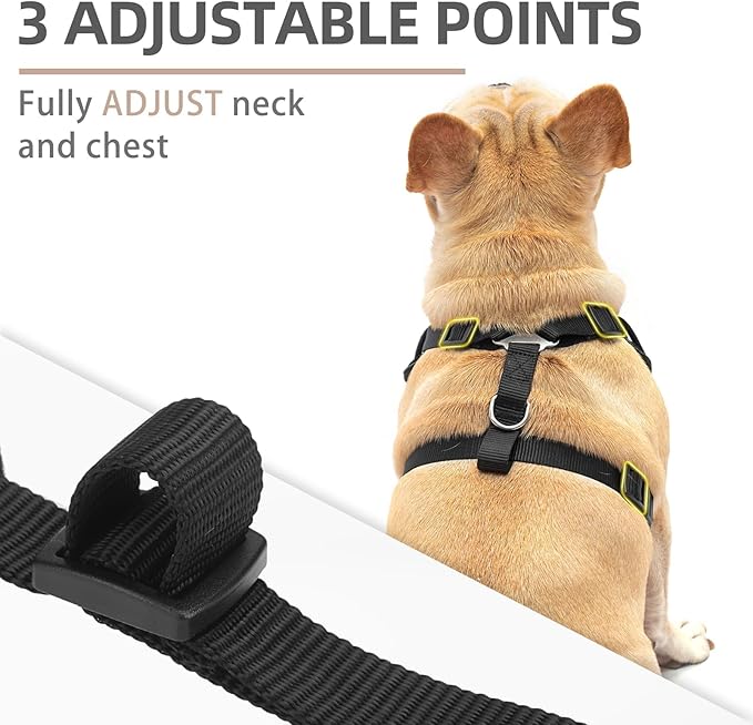 PUPTECK Small Dog Harness and Leash Set, No Pull Adjustable Puppy Cat Harness, Reflective Soft Mesh Pet Vest Small Sized, Black, M
