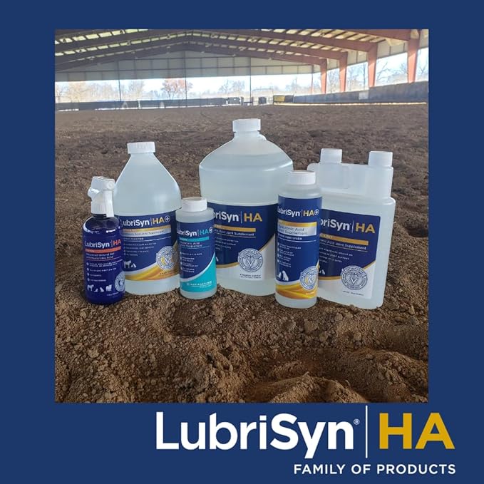 LubriSynHA Hyaluronic Acid with MSM Hip & Joint Care Supplement for Dogs, Cats & Horses – Liquid Oral HA for Pets – Joint Support Promotes Mobility, Flexibility, Cartilage Health & Comfort – 128oz