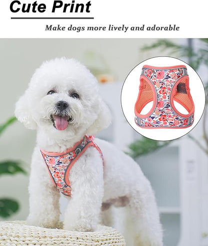 XXS Peach Flower Pattern Dog Harness and Leash Set,No Escape Puppy Harnesses for Training Walking，Breathable Adjustable Puppy Vest for Small Medium Dogs, Cats (Peach, XXS)