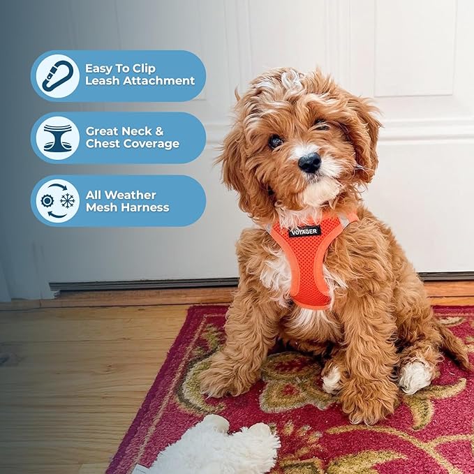 Best Pet Supplies Voyager Step-in Air All Weather Mesh Harness and Reflective Dog 5ft Leash Combo with Neoprene Handle, for Small, Medium and Large Breed Puppies - Set (Orange), X-Small