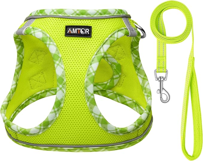 AMTOR Small Dog Harness with Leash Set, No Escape Easy Walk Puppy Harnesses for Training Walking, Step-in Reflective Soft Dogs Vest for XS S Medium Extra-Small Large Sized Dog(XXS Size,Green/White)