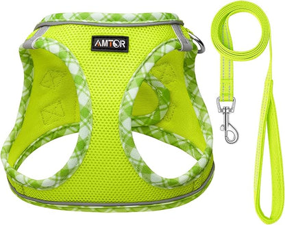 AMTOR Small Dog Harness with Leash Set, No Escape Easy Walk Puppy Harnesses for Training Walking, Step-in Reflective Soft Dogs Vest for XS S Medium Extra-Small Large Sized Dog(XXS Size,Green/White)