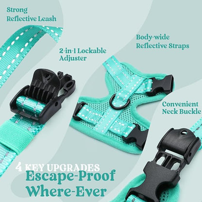 rabbitgoo Cat Harness and Leash, Escape Proof Vest with 3 Adjustable Buckles, Soft Comfortable Kitten Harness, Easy to Wear, Reflective for Safe Outdoor Walking, Medium, Green