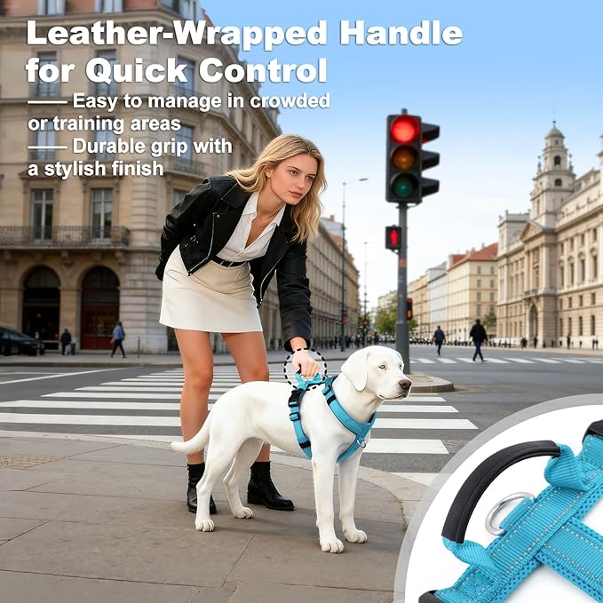 No Pull Dog Harness with Handle, Soft Mesh Padded Adjustable for Small Medium Large Dogs | Reflective Easy Walk Harness with Front Clip for Training, Running & Outdoor (Cyan, S)