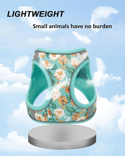 XS Floral Green Pattern Dog Harness and Leash Set,No Escape Harnesses for Training Walking，Breathable Adjustable Puppy Vest for Small Medium Dogs, Cats (Turquoise, XS)