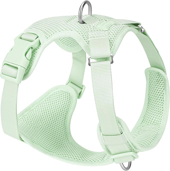 No Pull Dog Harness for Small Medium Large Dogs - Adjustable 2 Layer Mesh Dog Vest with Dual Clip, Escape Proof, Quick Release, Lightweight Breathable Mesh for Walking Hiking (Light Green,M)