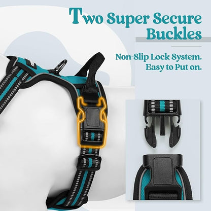 rabbitgoo Dog Harness No Pull with 2 Leash Clips, Adjustable Soft Padded, Reflective Oxford No Choke Pet Vest with Easy Control Handle for Medium Sized Dogs, Teal, M