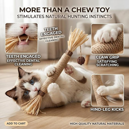 Cat Toys, 3PCS Catnip Toy for Indoor Kitten Toys Cat Chew Stick for Dental Cleaning Teeth Cat Silvervine Matatabi Rope Treat Kitty Feather Snack for for Kick Molar Scratch Self Play