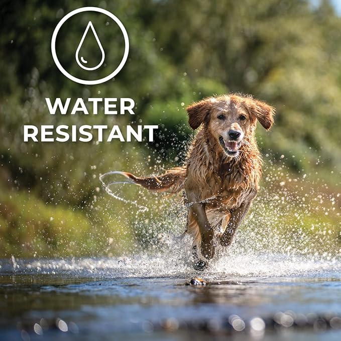 Hip + Joint Mobility Collar for Dogs with Glucosamine, Chondroitin, MSM, and More | Convenient & Easy | 30 Days of Continuous Support | Water Resistant (Med/Large)