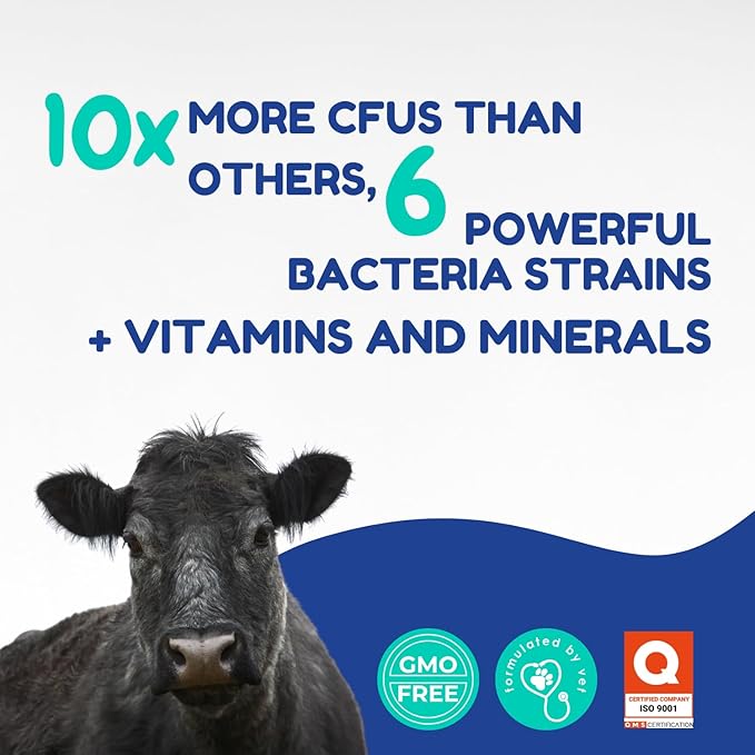 Ruminant Probiotic Paste 80CC for Cattle, Goats & Livestock – Prebiotic + Probiotic 6 Strains 8B CFU, Vitamin E & Minerals – Digestive, Rumen & Immune Support, Calving