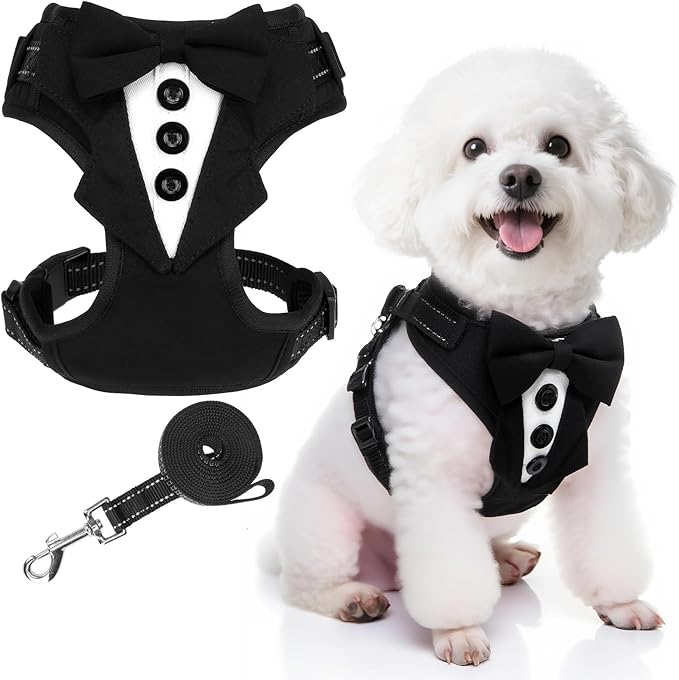 EXPAWLORER Dog Tuxedo Harness, Adjustable No Pull Pet Vest Harness with Leash Wedding Suit Attire with Bow Tie, Soft Padded Step-in Party Outfit Costume for Puppy Small Medium Dogs, Black S