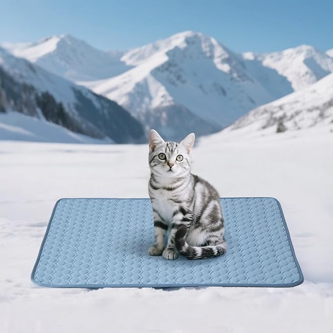 Soulbond Cooling Mat for Small Dogs - 25" x 35" Washable Cooling Mat for Cats, QMAX>0.3, Anti-Slip Bottom, Portable Summer Cool Puppy Bed Pad for Outdoor/Indoor/Cars/Travel Use, Ocean Blue