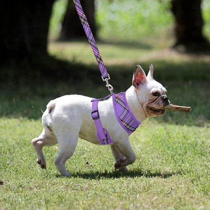 PUPTECK Soft Mesh Dog Harness and Leash Set Pet Puppy Cat Comfort Padded Vest No Pull Harnesses, Purple, XS