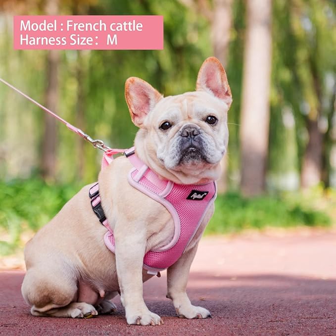 PUPTECK Small Dog Harness and Leash Set, No Pull Adjustable Puppy Cat Harness, Reflective Soft Mesh Pet Vest Small Sized, Pink, M