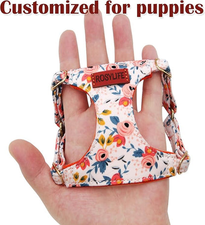No Pull Dog Harness & Leash Set, Adjustable XX-Small, Orange Rose, Cute & Stylish, Escape Proof, Includes Leash