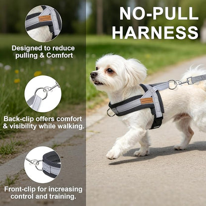 BEAUTYZOO Dog Harness for Small Dogs, No Pull Dog Harness and Leash Set, Soft Escape Proof Puppy Vest Harness with Handle, Reflective Lightweight Step in Harness for Girl Boy Dogs, Grey S