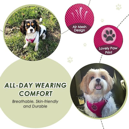 SlowTon Dog Seat Belt Harness for Car, Dog Car Harness Adjustable Mesh Breathable & Dog Seatbelt Safety Tether with Elastic Bungee for Small Medium Large Pets(Fuchsia, Double Clip, S)