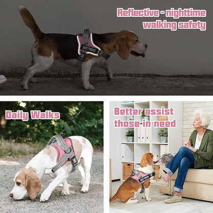 AUROTH Dog Harness and Leash Set, Soft Padded Service Dog Vest with 5.25FT Dog Leash, No Choke, Easy On Pet Vest, Adjustable Reflective No Pull Dog Harness for Large Dogs, Easy Walking and Training