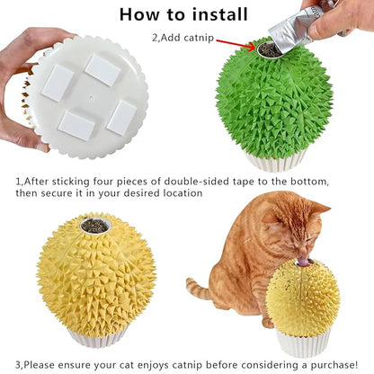 Miwoowim Catnip Feeder - Cat Face Scratcher Wall Corner Massage Comb for Indoor Cats Self Grooming Brush (Green)